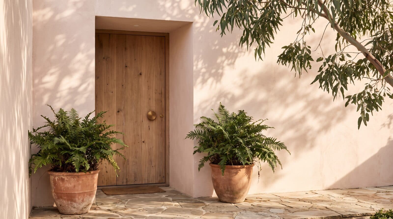 Fern & Soul massage studio entrance in Innaloo, a timber door in a blush rendered wall flanked by terracotta pots of ferns.