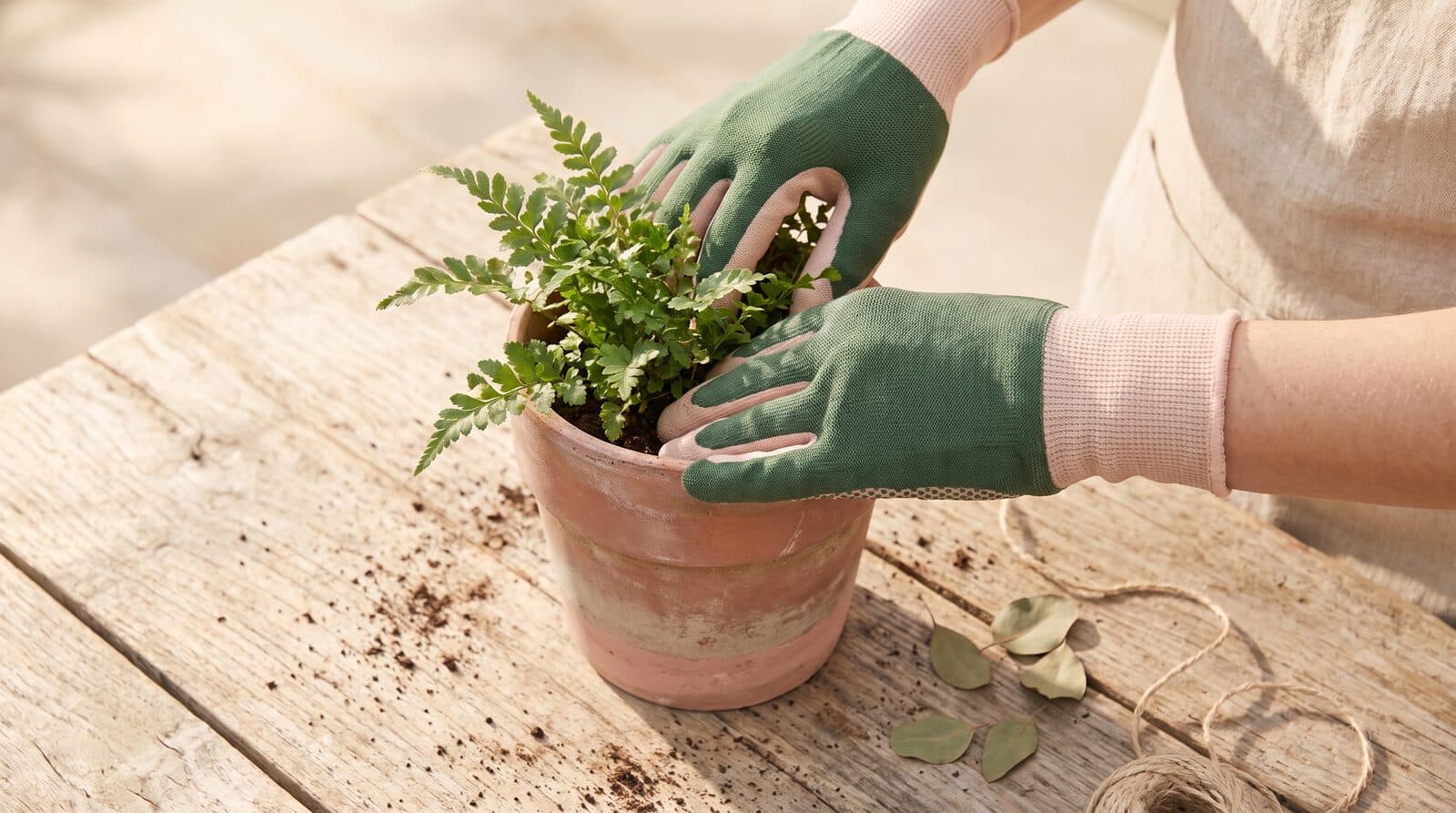 Fern & Soul massage studio in Innaloo, gloved hands potting a fern into a terracotta pot on a raw timber outdoor table.